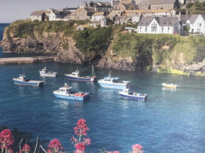 Bay House Lundy Port Isaac Apartment with Sea Views